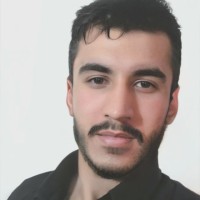 Raphael Ribas Cramer de Moraes
