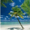 Clodine Michel