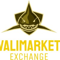 ROMAIN VALINEJAD MOGHADEM