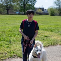 Jack Huynh