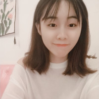 王文文