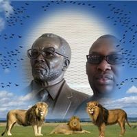 Nhlanhla Sibanda