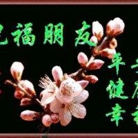 王四平
