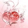 Anish Raj