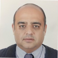 Tamer lotfy