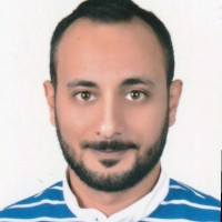Michel Hanna Shokry