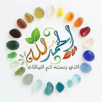 Majid Elhouary