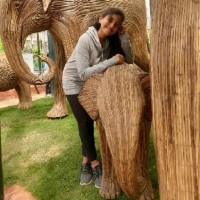 Sadhana R Manjunath