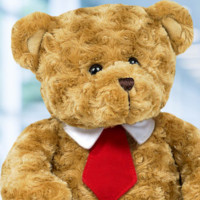 Ted Bear