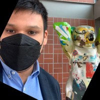 Nícolas Benavides Palma