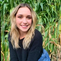 Shea Sutton