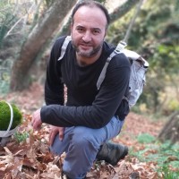 Mehmet Erkan Tv
