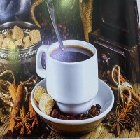 فواز المشرف