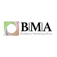 Blueberry Marketing Africa