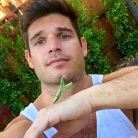 Frank Leo