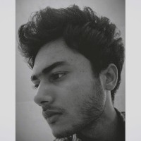 Mohd Saleem
