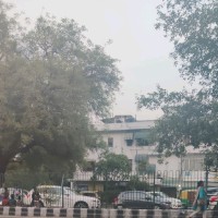 Niraj Kumar Tiwari