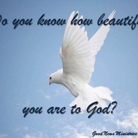 Franklin Gitonga Njeru