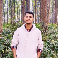 Hasan Malik