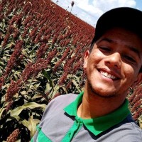 Adriel Moreira