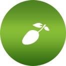 Olive Apps