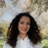 Sanaria Hussain, Lmsw