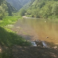 彭东东