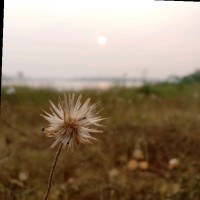 Niranjan Shanbhag