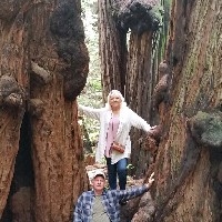 Debbie and Dennis Blevins