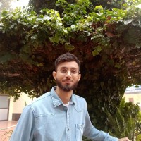 Faisal Anwar