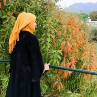 Syeda Hijab Zahra