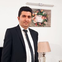 Mohsen Lotfi