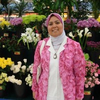 Amira Shawky