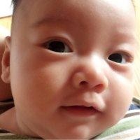 杨定珠