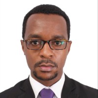 Cpa Stephen Kavithi