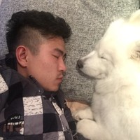 石凯文