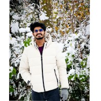 Sreejith Parameswaran