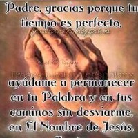 Cristino Mejia Meregildo