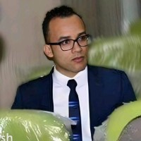 Sayed Mehanny
