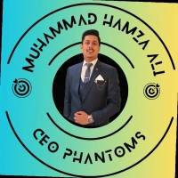Muhammad Hamza Ali