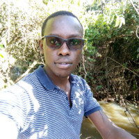 mark koech