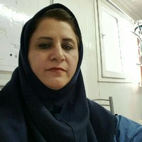 Shahin Ghotbi