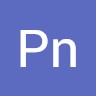 Pn Singh