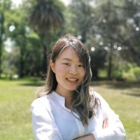 Feng (Vivian) Chen