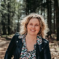 Sascha van Meer - Lamberts