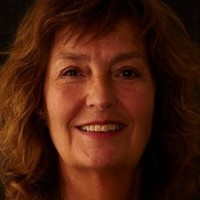 Vibeke Meyer
