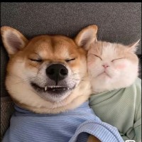 温弘源