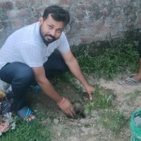 Bibek Verma