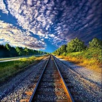 Sarah M. Hosford- Campbell