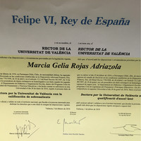 Marcia (Chile) Rojas Adriazola